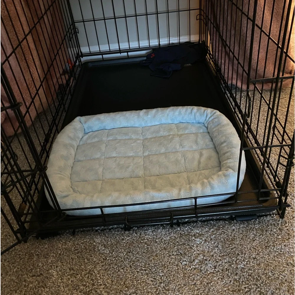 dog bed